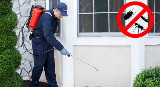 Merkezefendi Kene İlaçlama böcek ilaçlama ve haşere kontrolü — ilaclama-tr.com